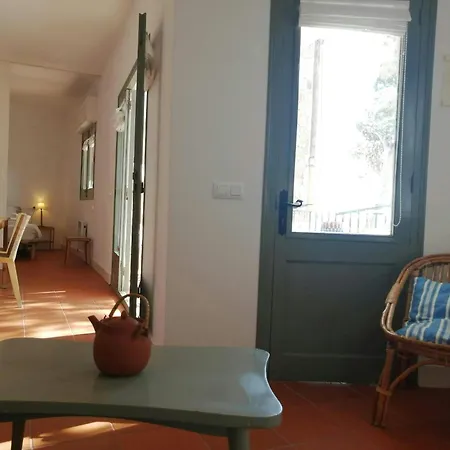 T4 - Beachside Escape With Unbeatable Views Apartment *